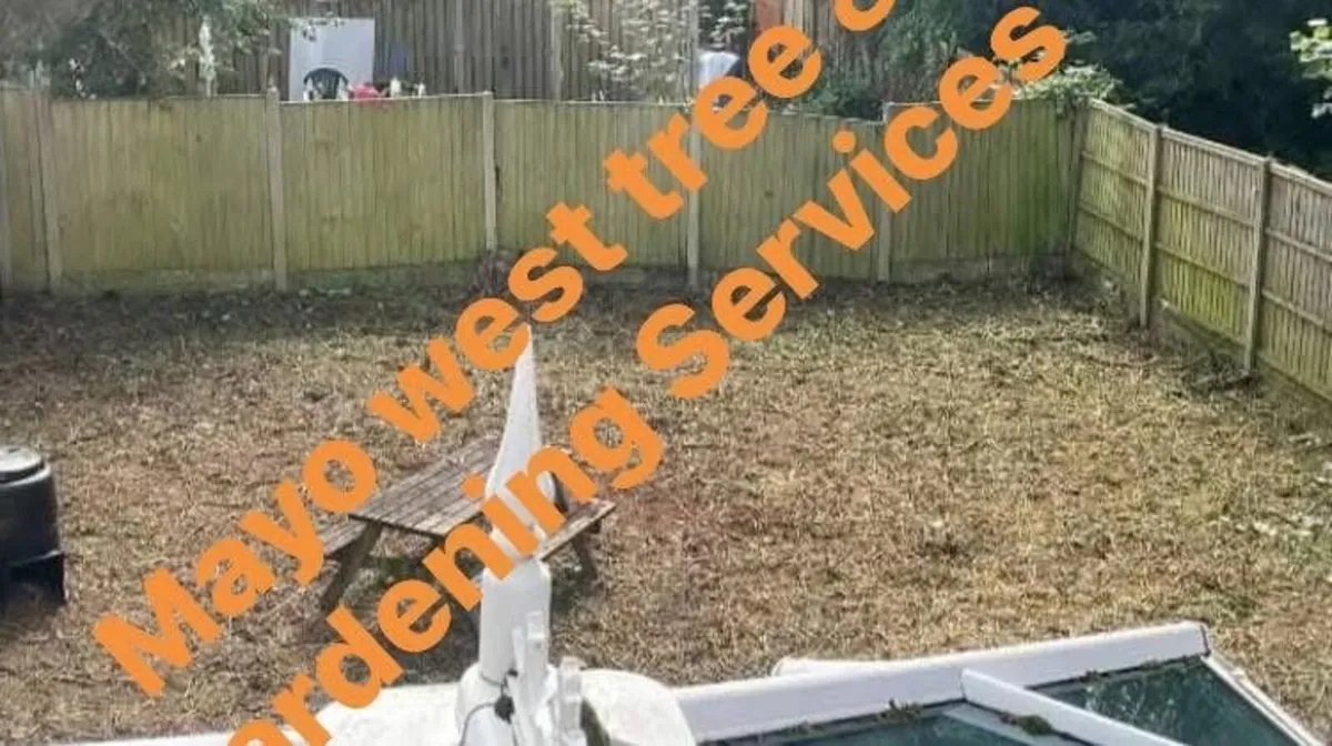 Mayo west Tree and gardening services - Image 3