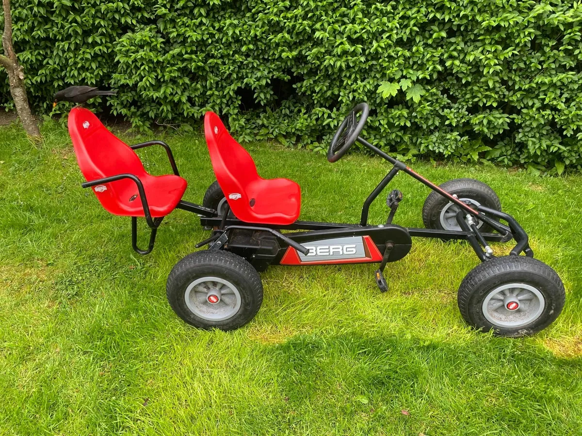 2 Seater Berg Cart - Image 1