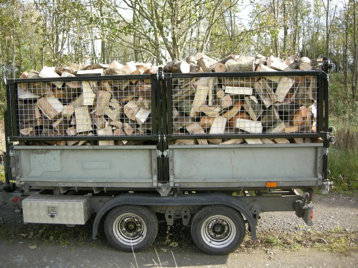 Ash hard wood - Image 3