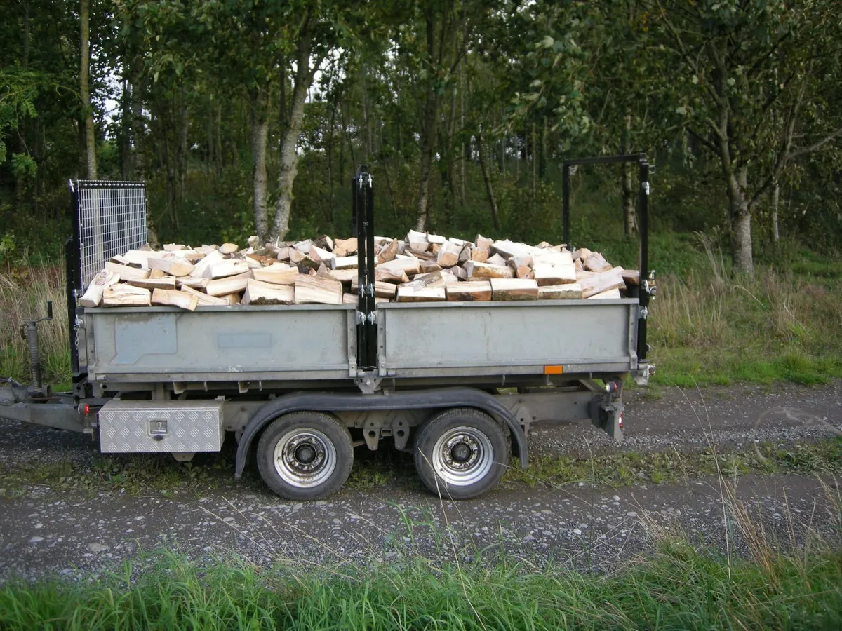 Ash hard wood - Image 4