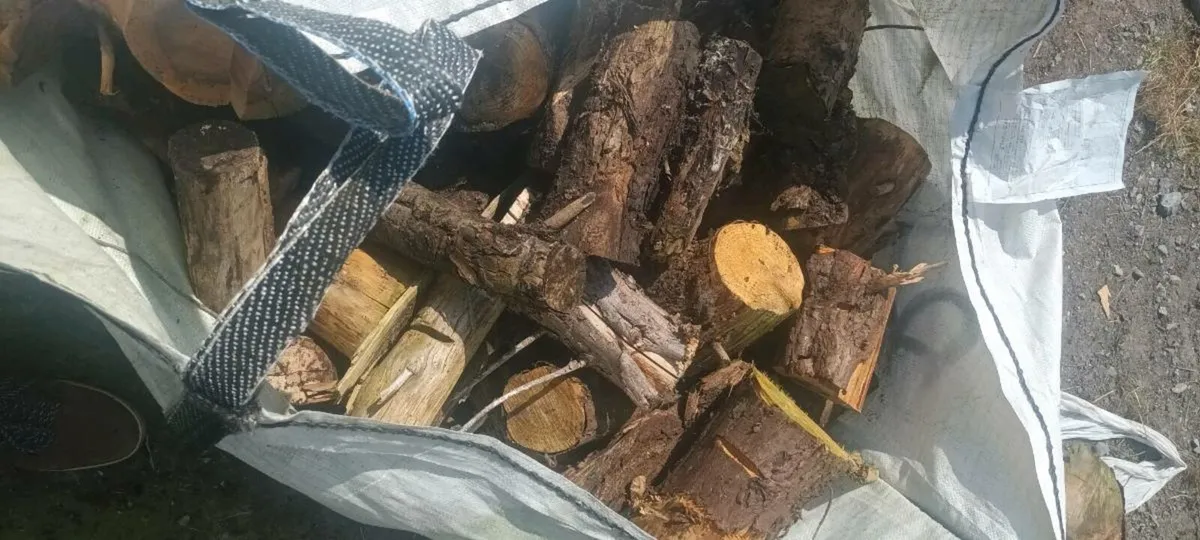 Timber - Image 4