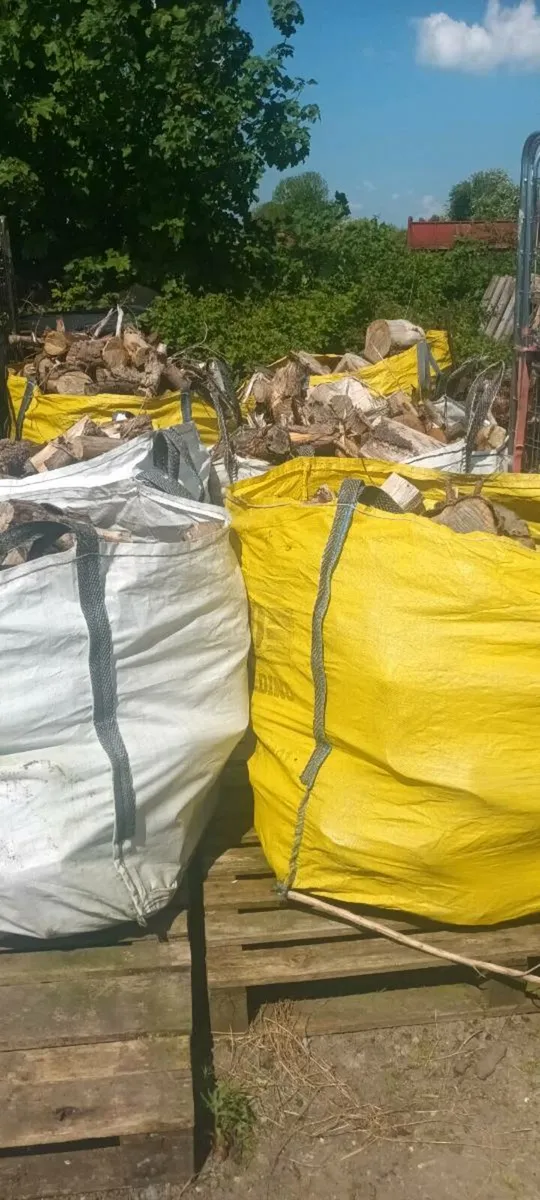 Timber - Image 3