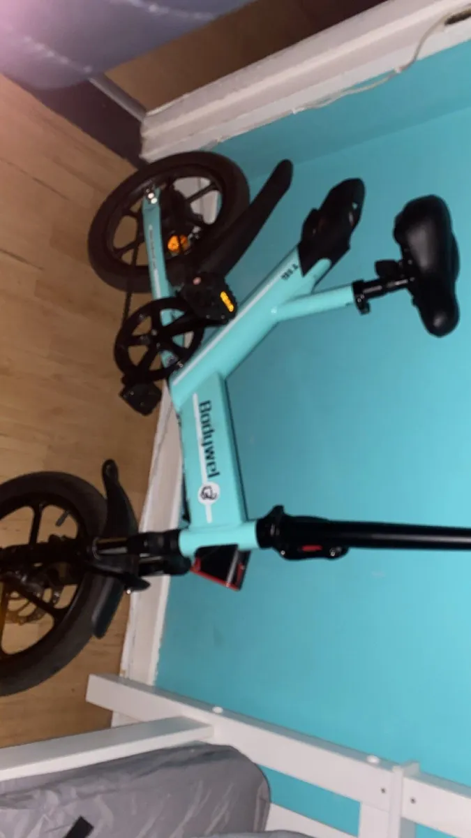 Electric bike - Image 2