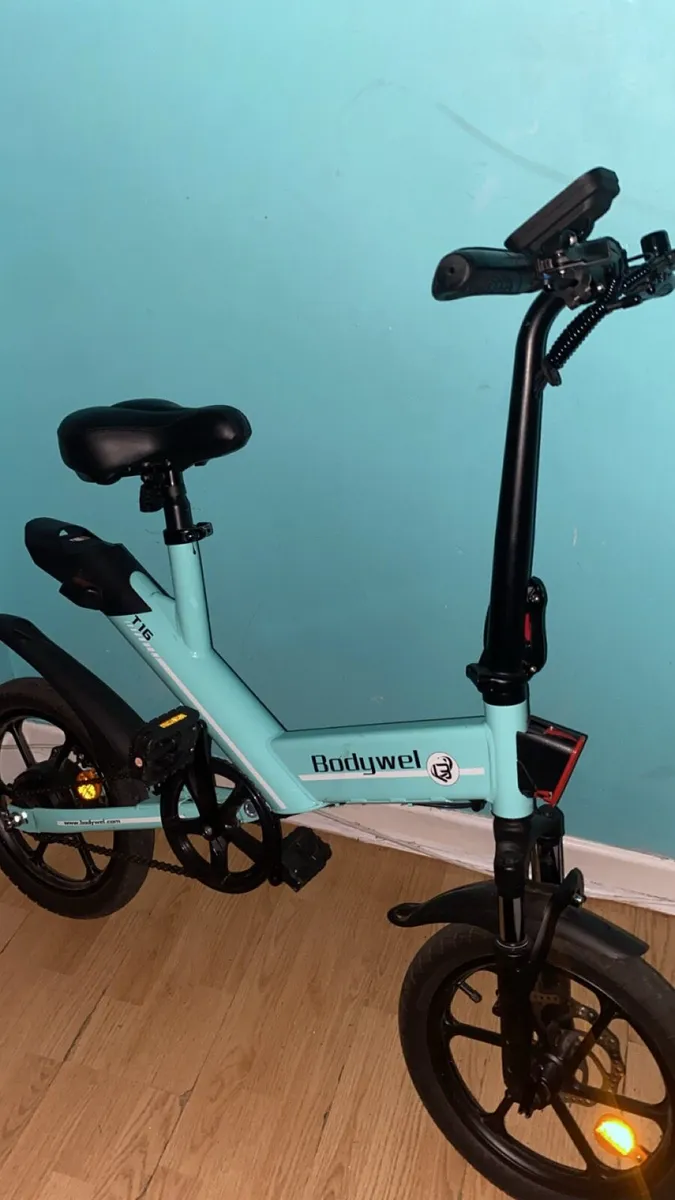 Electric bike - Image 3