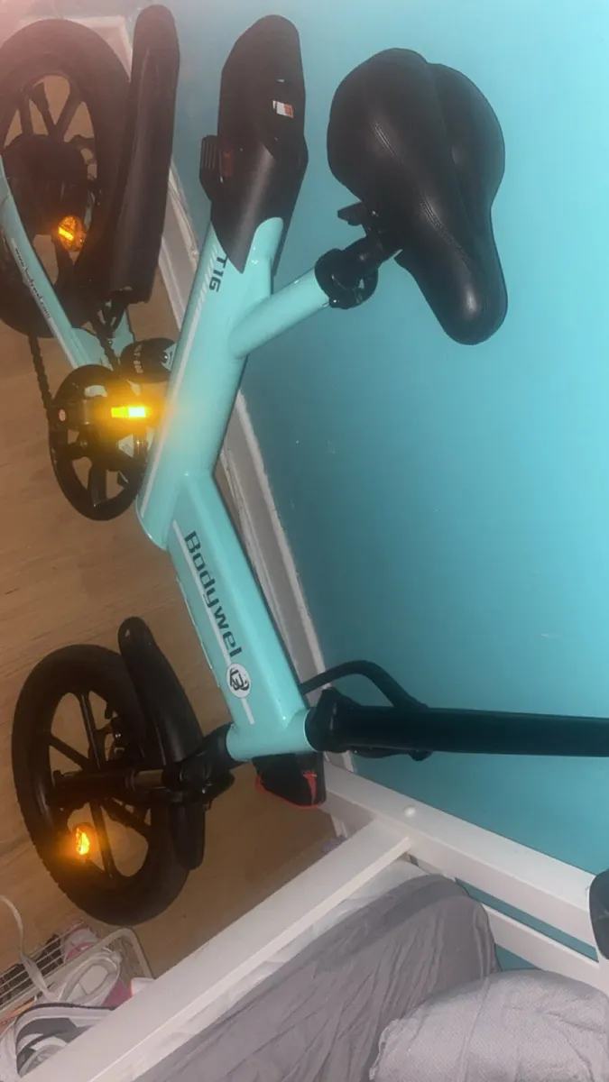 Electric bike - Image 4