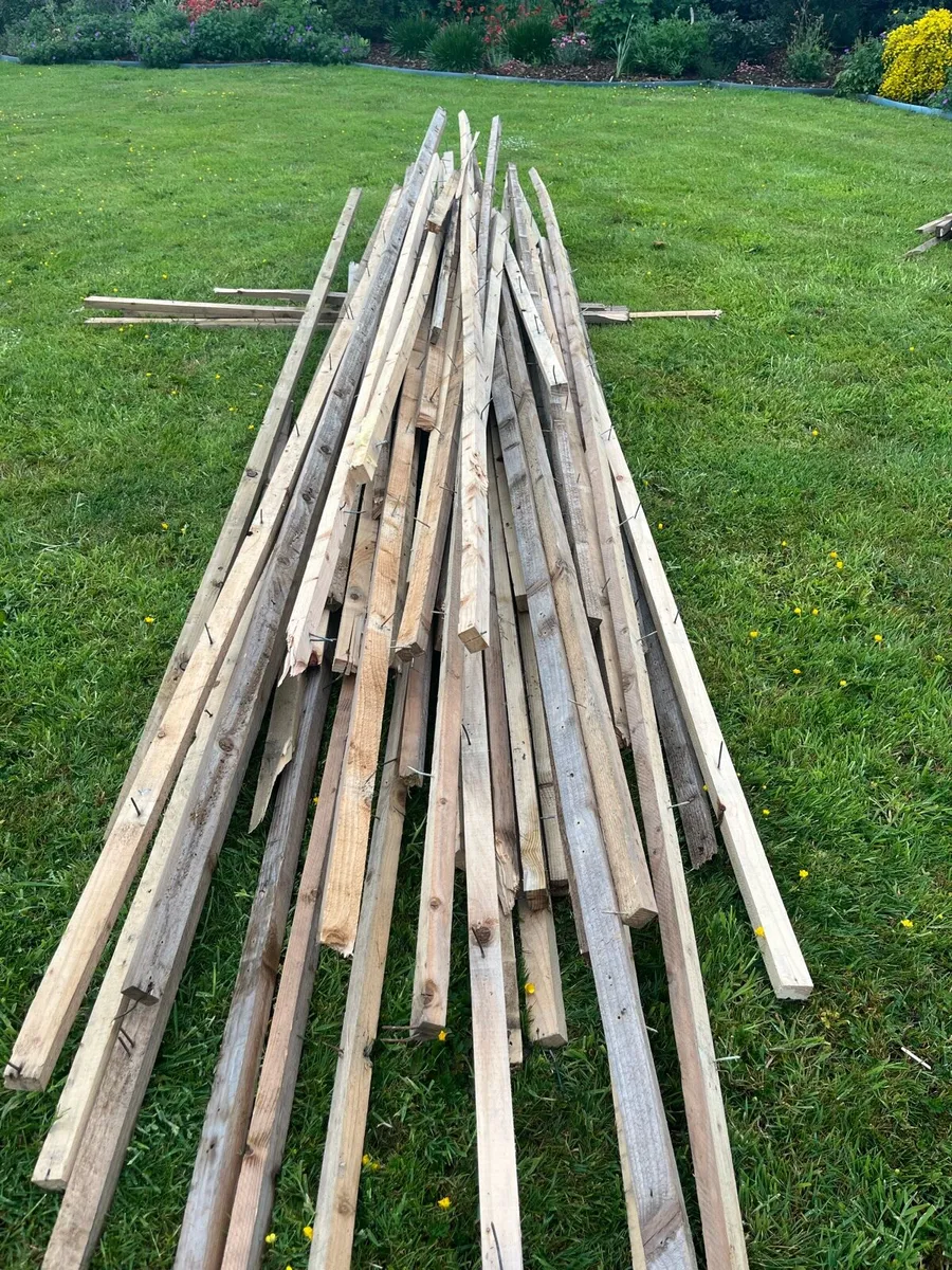 Free Timber - Image 4