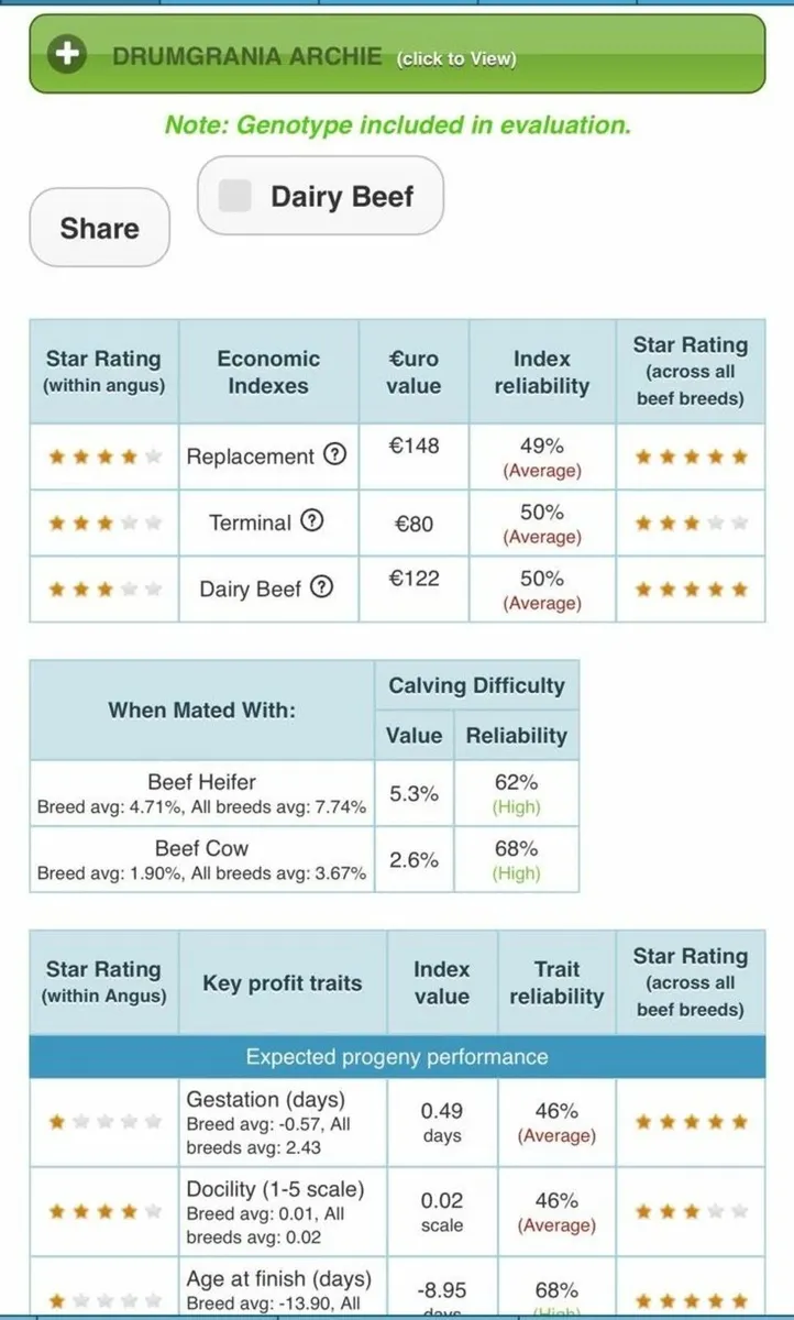 Superb 5 Star Pedigree Angus Bull For Sale - Image 3
