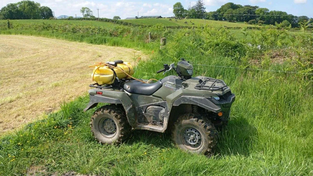 Weedlicking + Spraying - Image 4