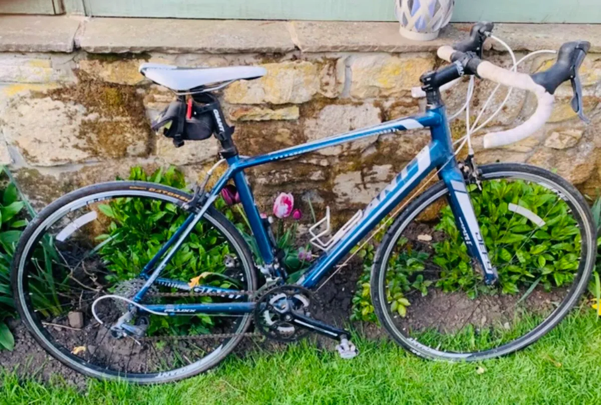 Giant defy