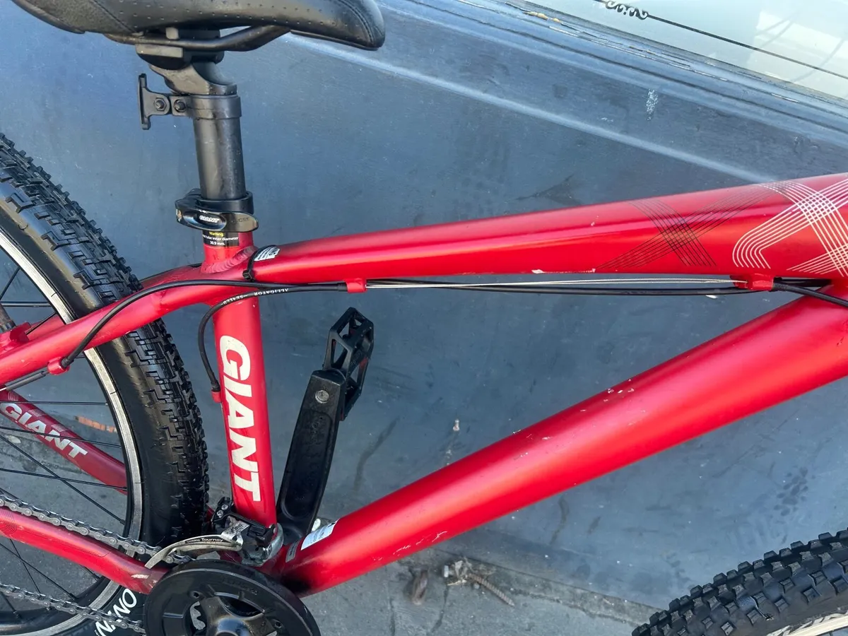 Giant  MTB ❗️Open 7 Days ❗️ - Image 3