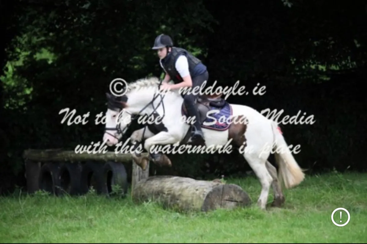 Maisy - Image 3