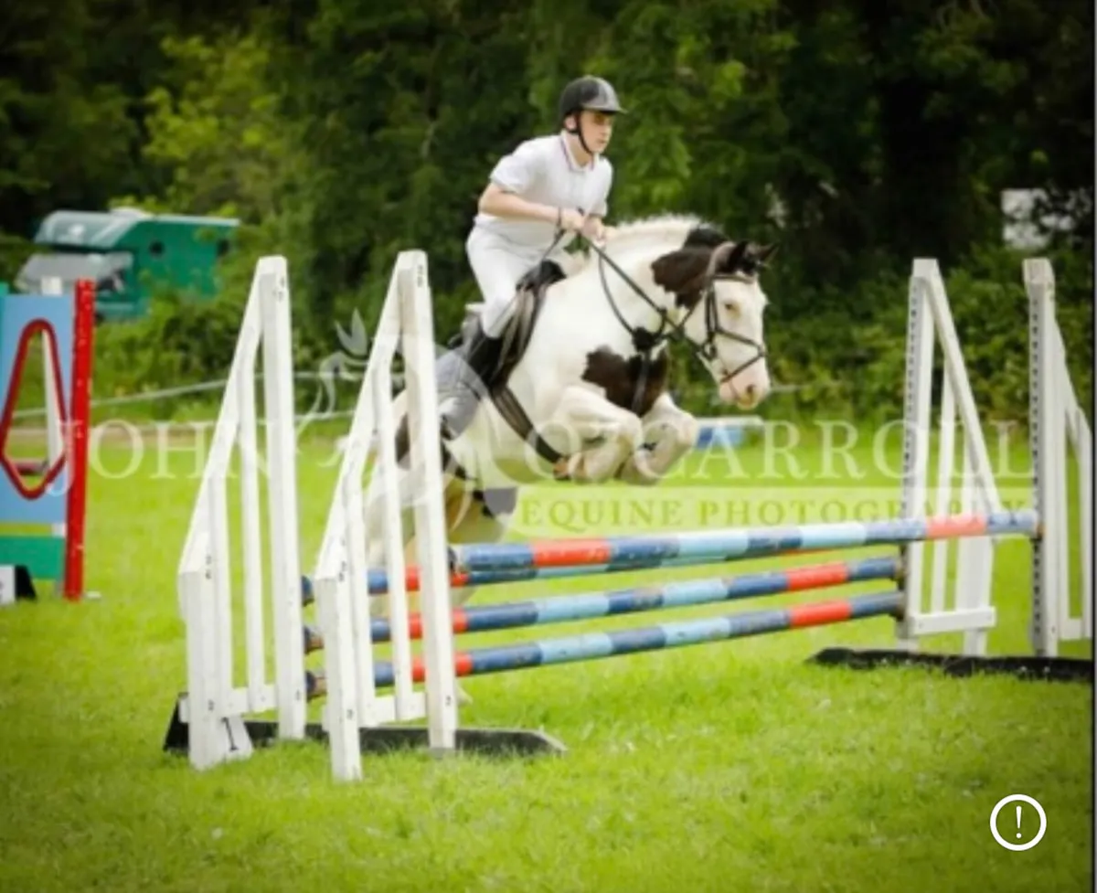 Maisy - Image 4