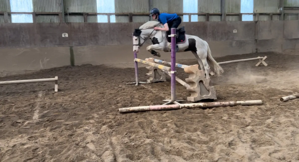 Maisy - Image 1
