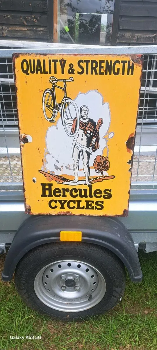 Large  herculeys