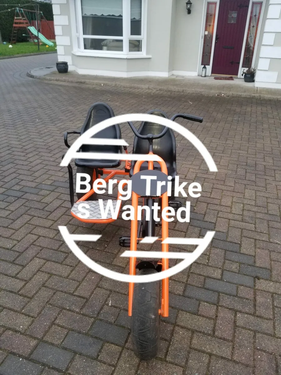 Bergs wanted - Image 4