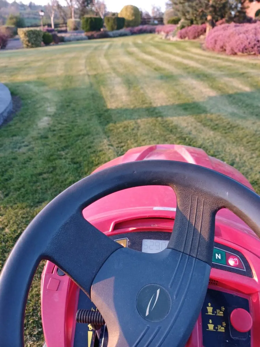 Ride-onn lawnmower - Image 2
