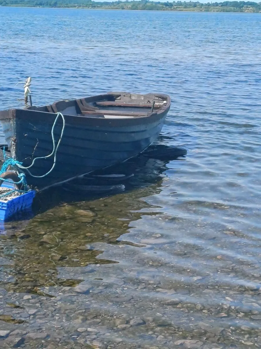 19ft lake boat (no trailer) 8hp Johnson 2 stroke - Image 3