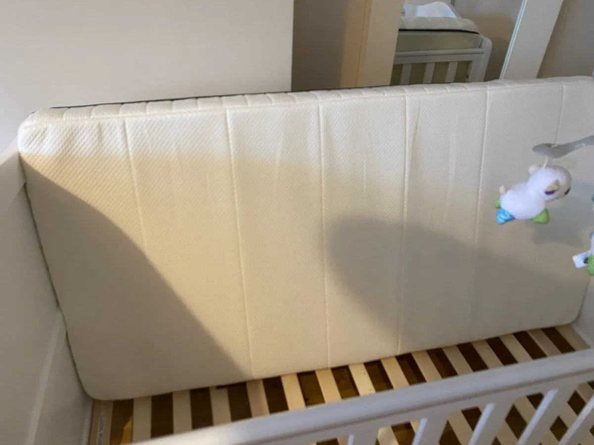Cot - Image 4