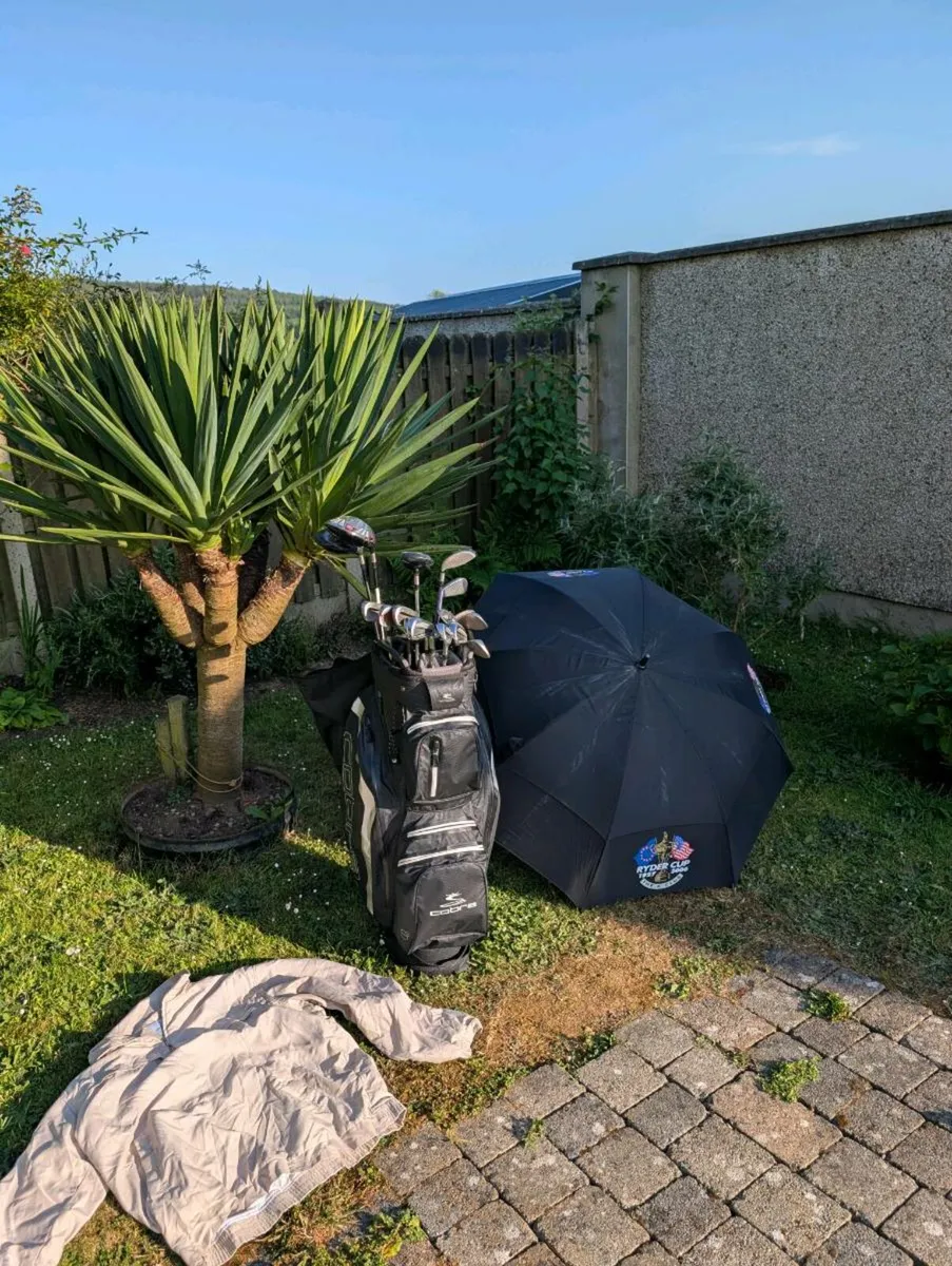 BARGAIN full Taylormade Golf clubs set up need gon - Image 1