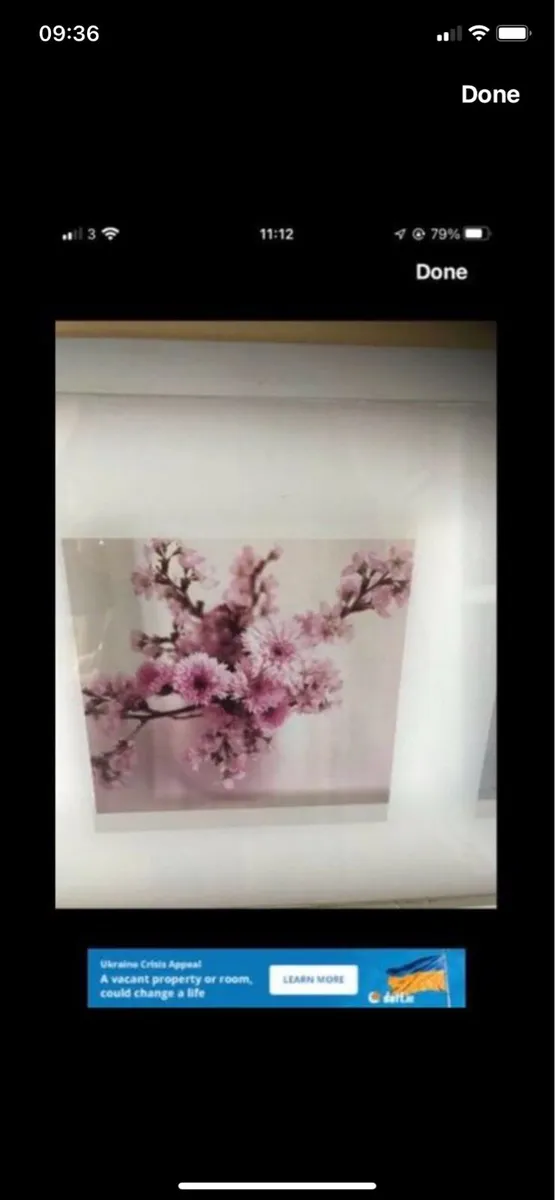 Framed Floral Print - Image 2