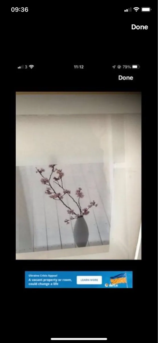 Framed Floral Print - Image 3