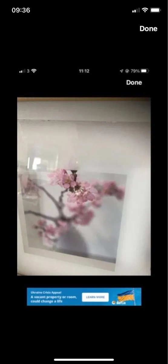 Framed Floral Print - Image 4