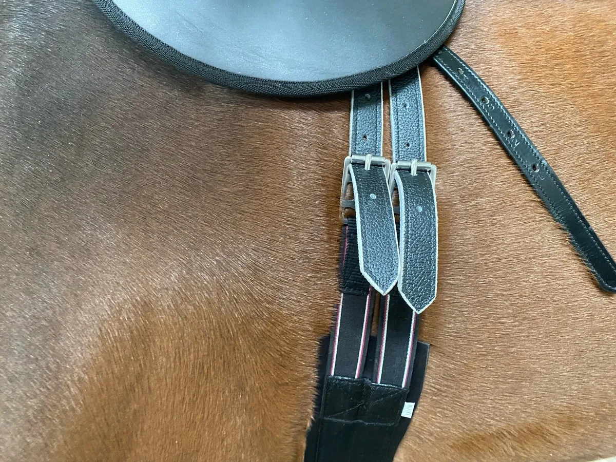 Race excercise bridles & accessories - Image 2