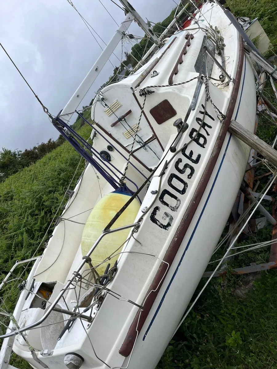 Pandora 22 - Image 3