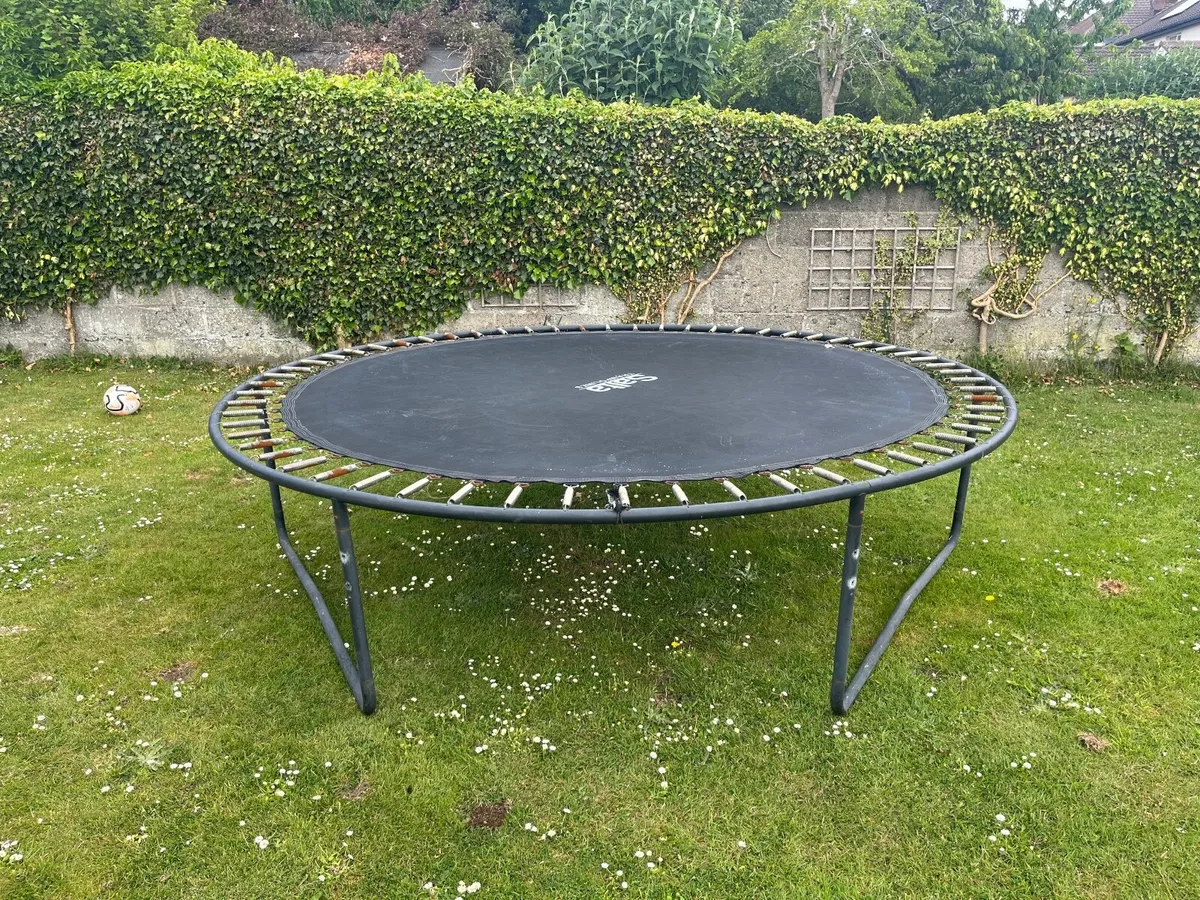 Trampoline - Image 2