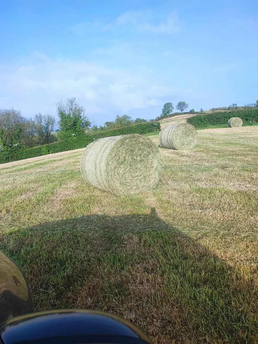 Round bales of top class hay - Image 2