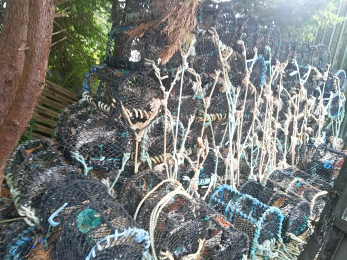Crab pots - Image 1