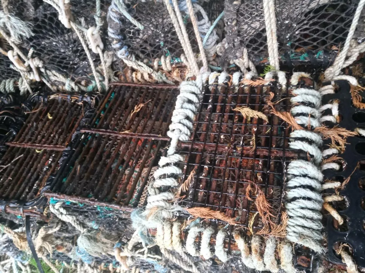 Crab pots - Image 2