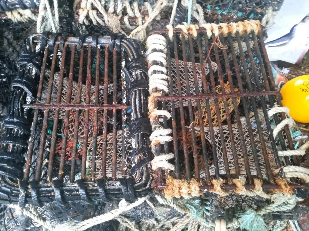 Crab pots - Image 3