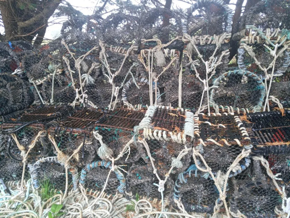Crab pots - Image 4