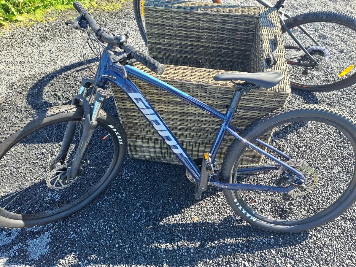 Bicycles - Image 3