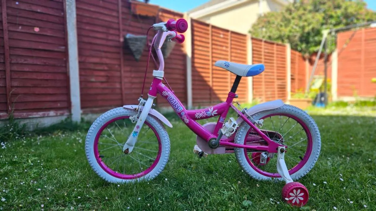 16 Inch Bike - Image 1
