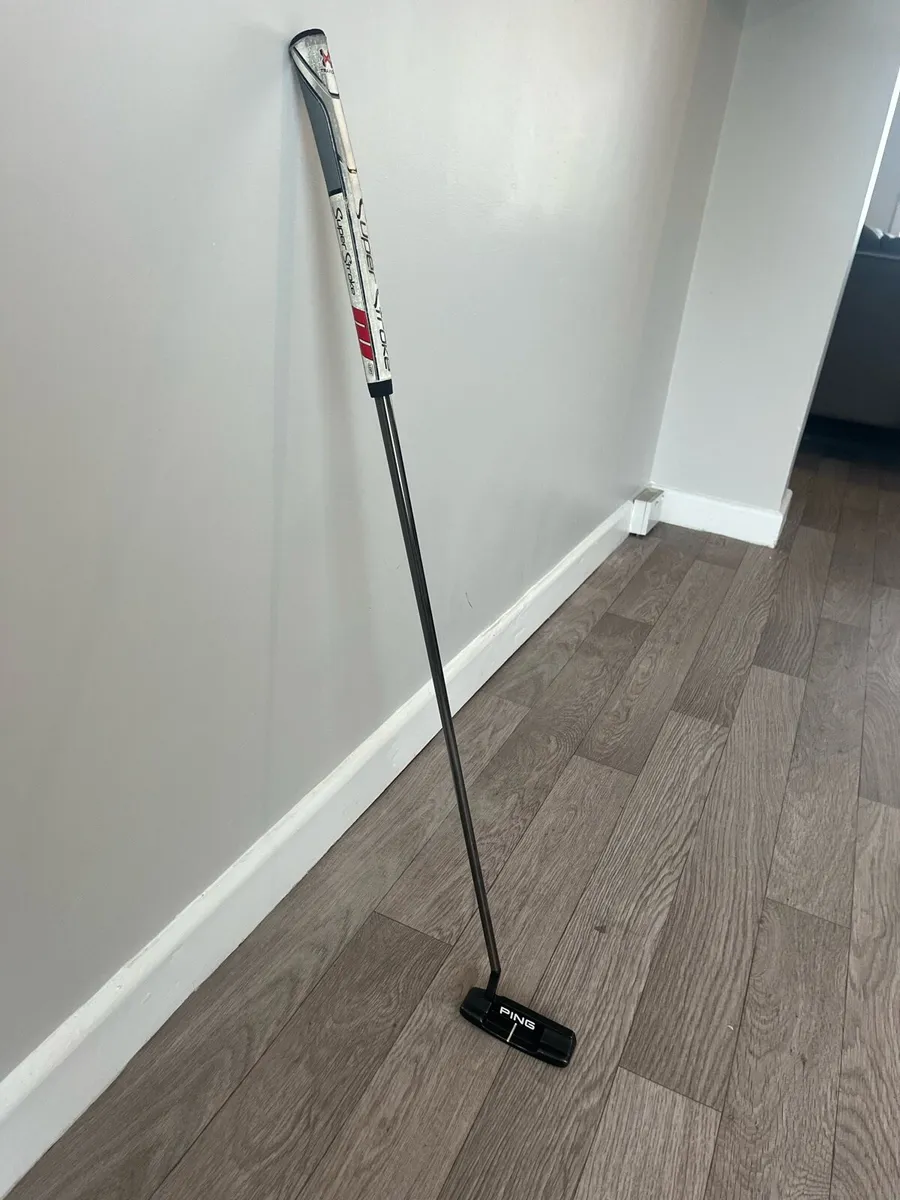 Ping Anser 4 - Image 1