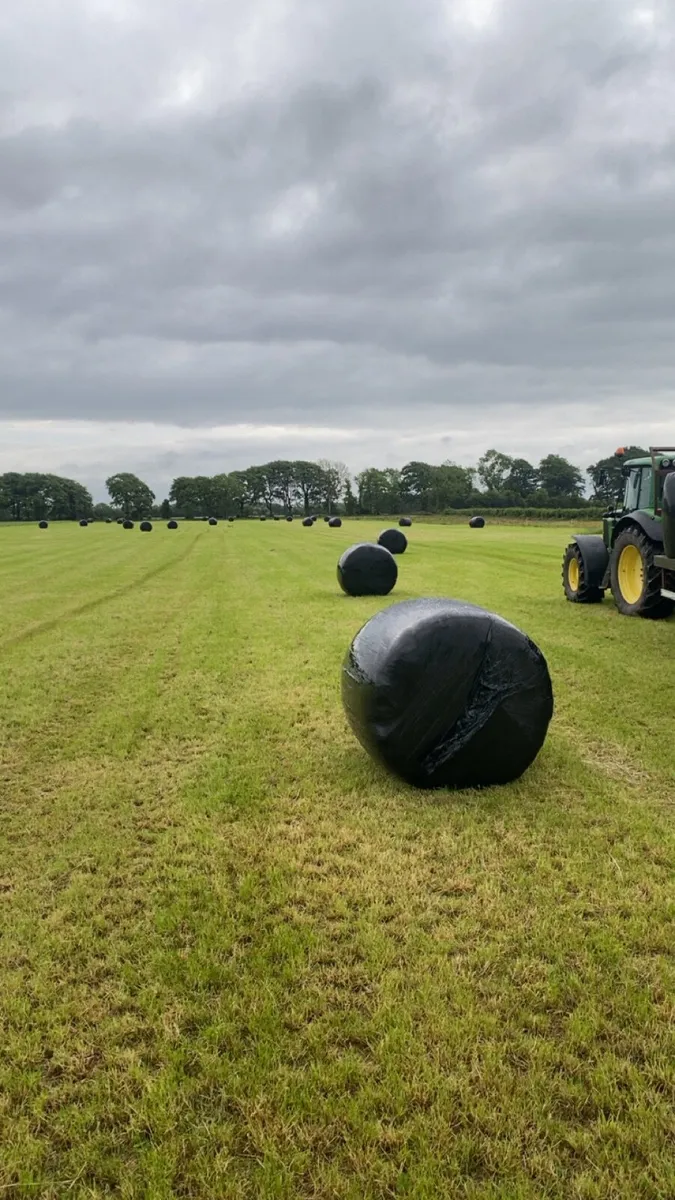 Top quality haylage