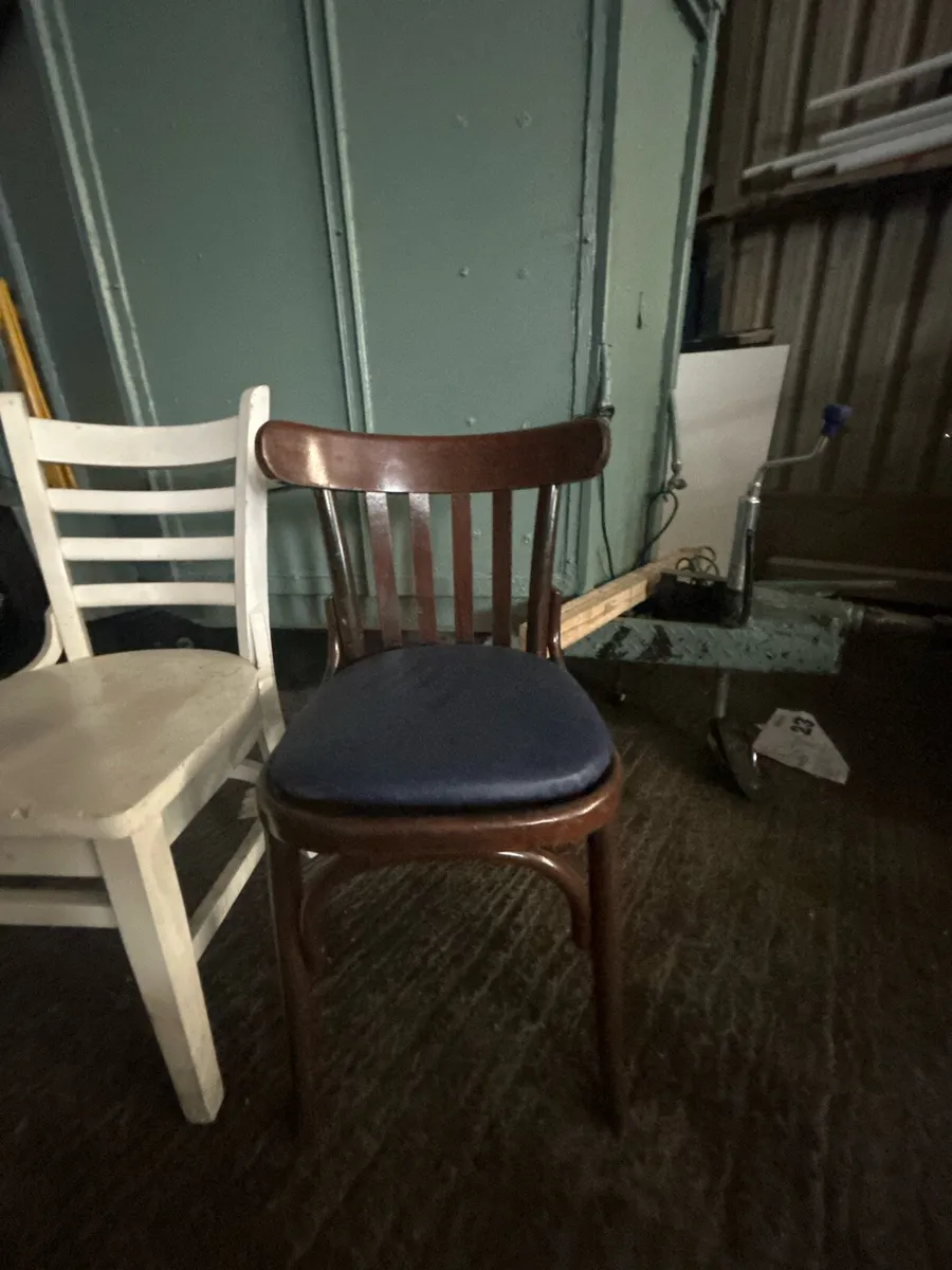Restaurant chairs - Image 4