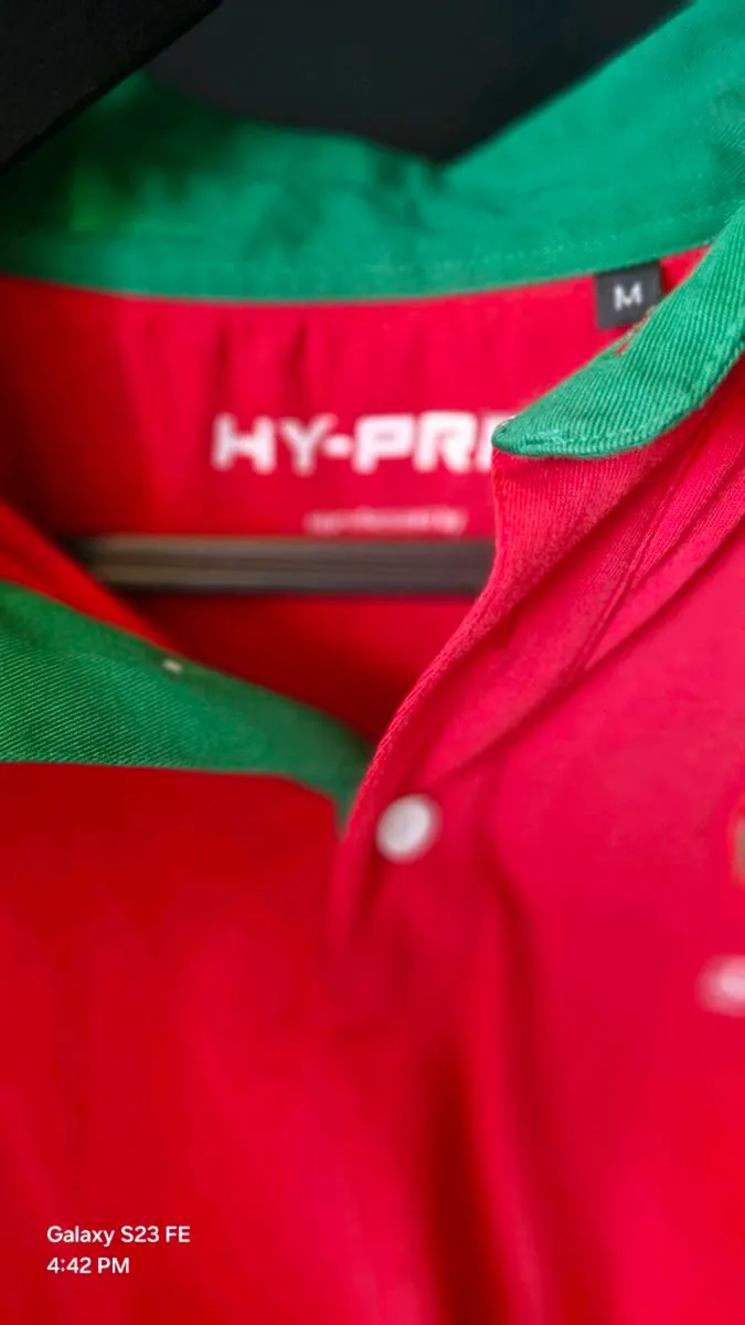 Wales HY-PRO Retro long sleeve 2024 Jersey size M - Image 4