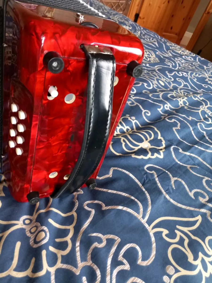 Button accordion - Image 3