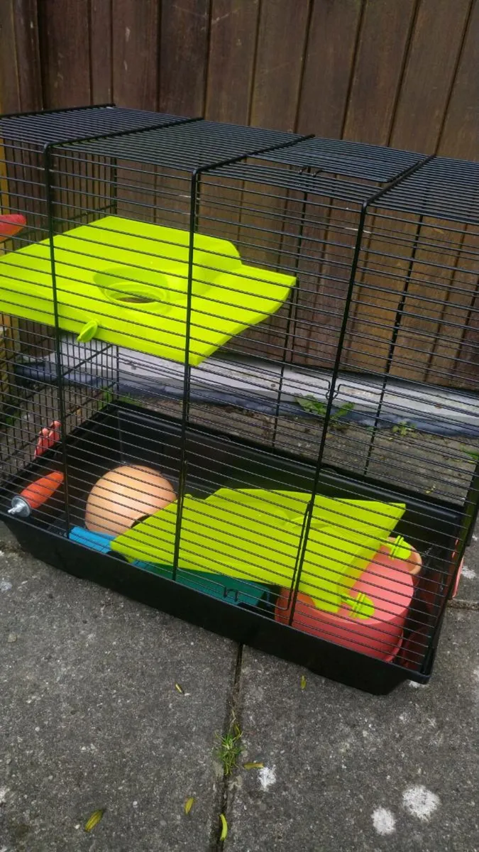 Hamster cage - Image 1
