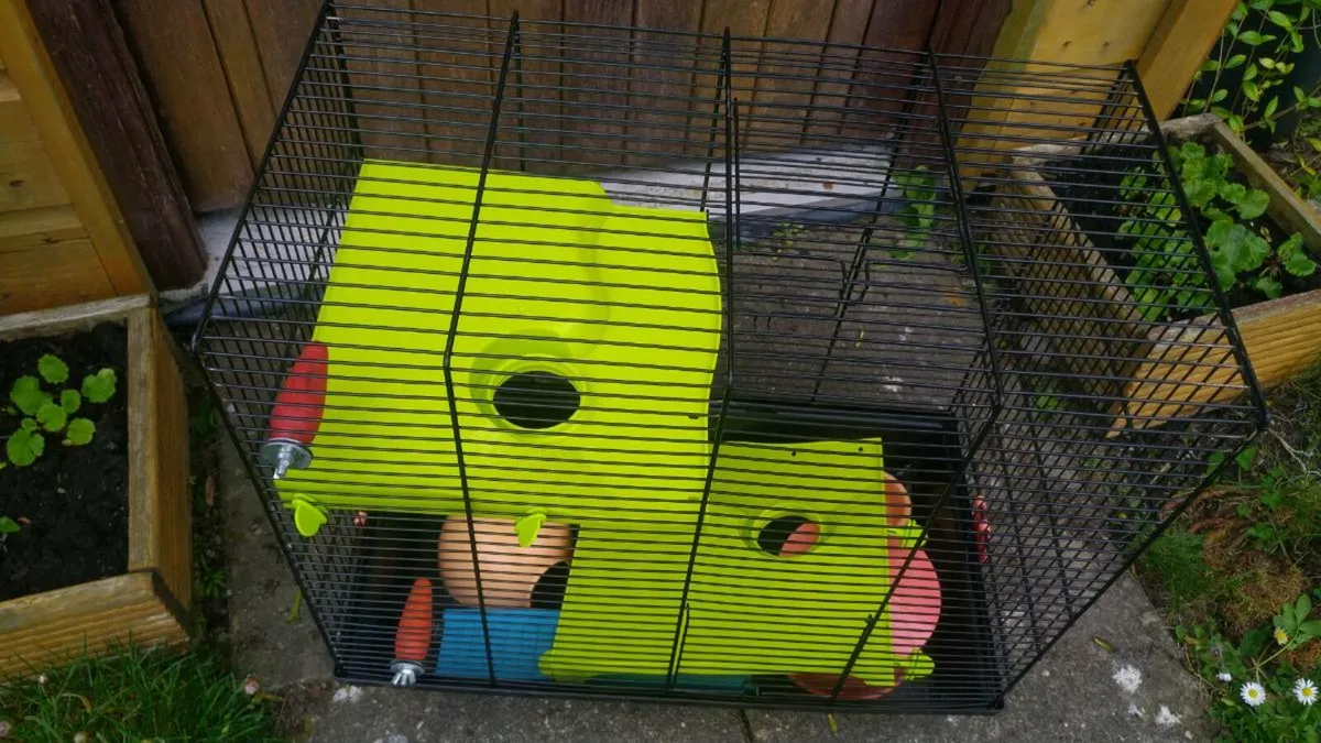 Hamster cage - Image 2