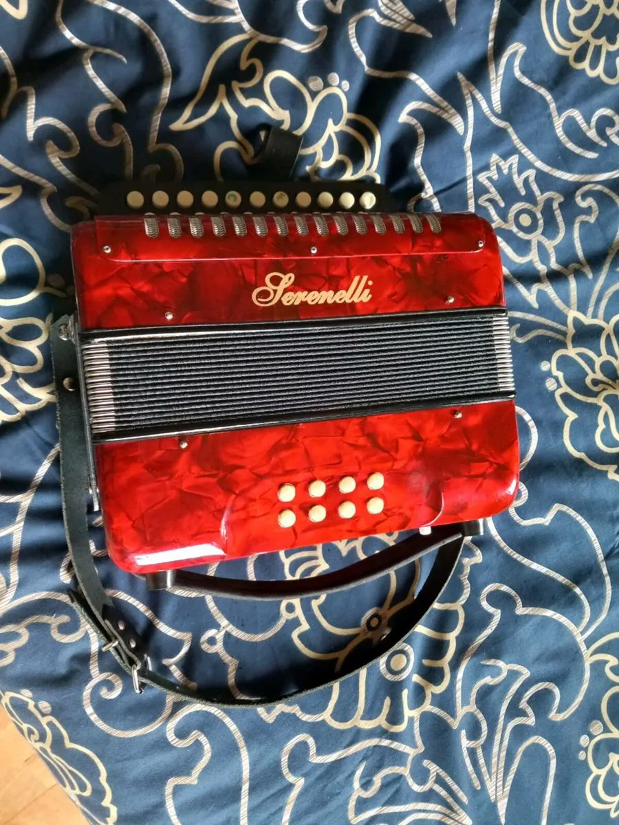 Button accordion - Image 2