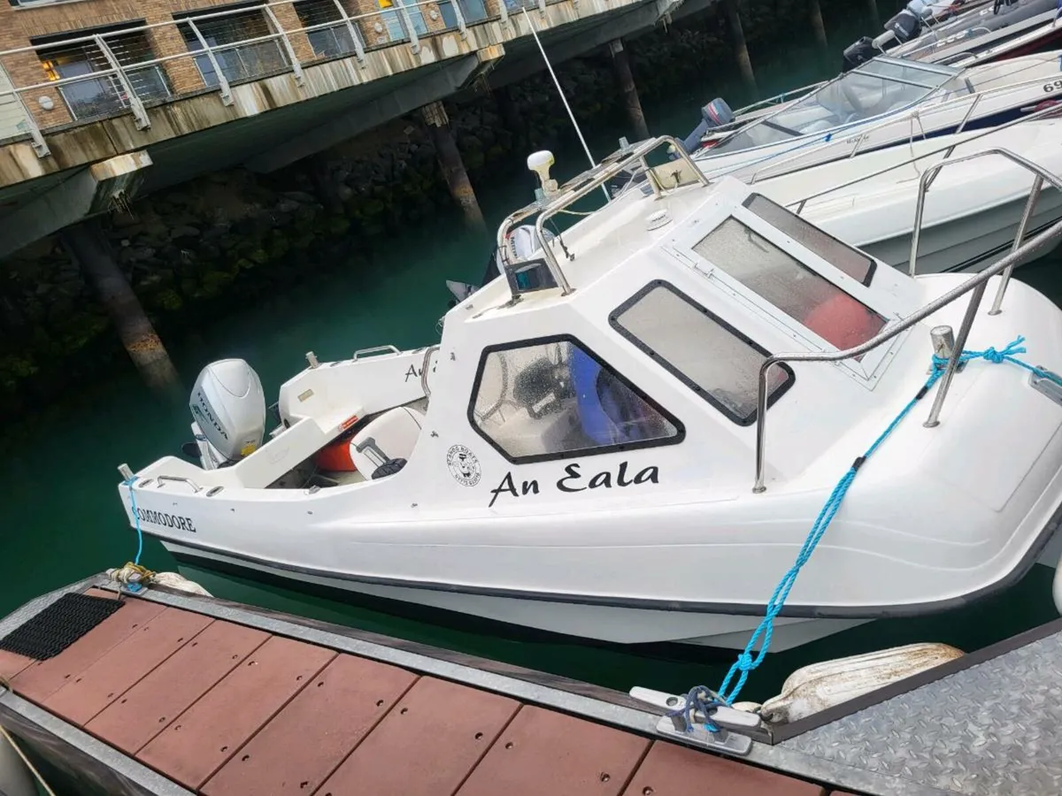 Sea Hog Commodore - Image 3