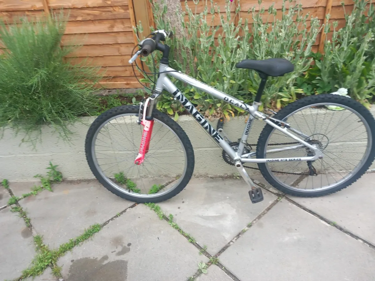 ladies bike - Image 1