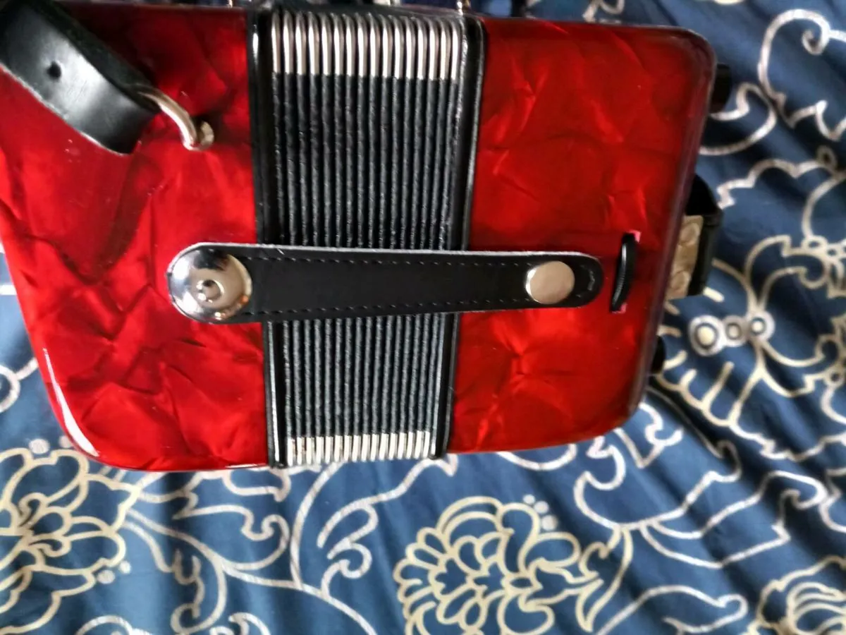 Button accordion - Image 4