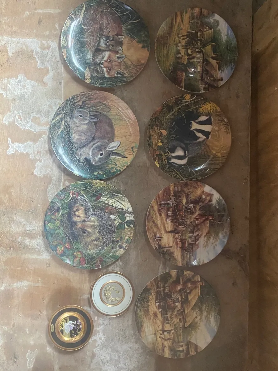 Decorative plates - Image 1