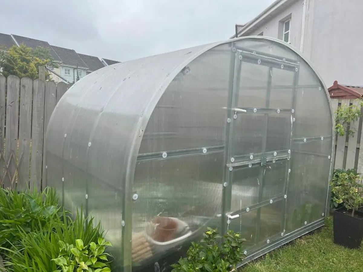 Arched polycarbonate greenhouse 3x2M
