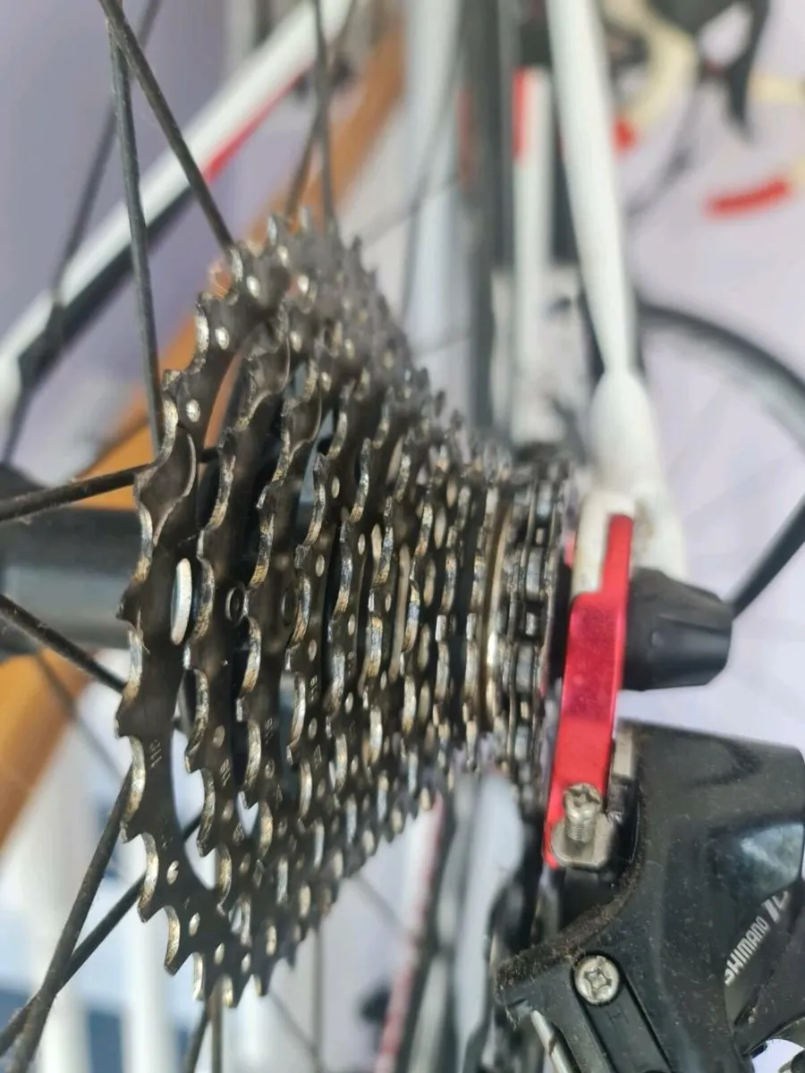 Bicycle - Image 3
